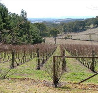 Habitat Vineyard - Events Australia
