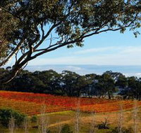 Bloodwood Estate - Events Australia