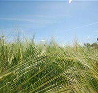 150 Degrees East Meridian - Events Australia