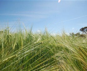 150 Degrees East Meridian - Events Australia 0