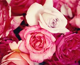 Samaria Farm - Accommodation Europe 1