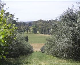 Samaria Farm - Accommodation Europe 7