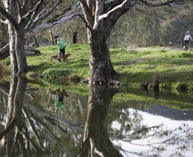 Albury - Murray River Precinct - Events Australia 3