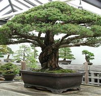 Peards Complex Albury - Events Australia