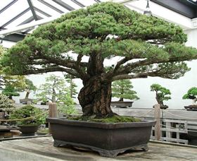 Peards Complex Albury - Events Australia 0