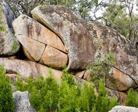 Frog Rock - Events Australia 0