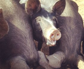 Ravens Creek Farm - Events Australia 3