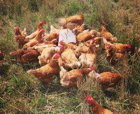 Ravens Creek Farm - Events Australia 6