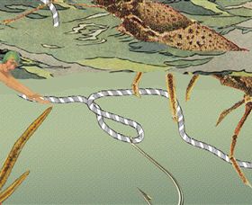 Barwon Booksellers - Tourism Bookings 2