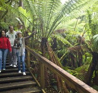 Otway Fly Treetop Adventures - Events Australia