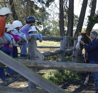 Harlow Park Horse Riding - Events Australia