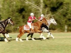 Morgan Park, Warwick - Events Australia 0