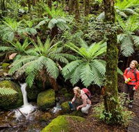 Baw Baw National Park - Events Australia