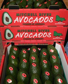 Southside Farmers Market - Events Australia 1