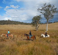 Chapman Valley Horse Riding - Events Australia