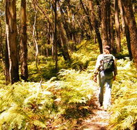 Federal Pass - Events Australia