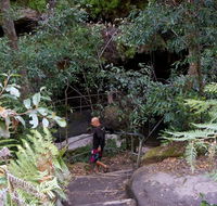 Leura Cascades Fern Bower - Events Australia