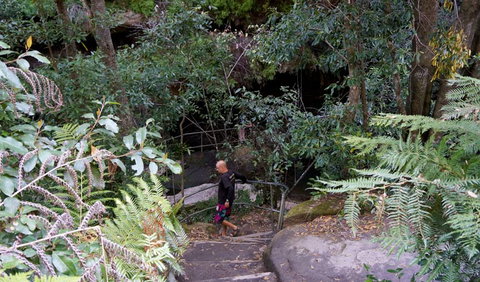 Leura Cascades Fern Bower - Events Australia 0