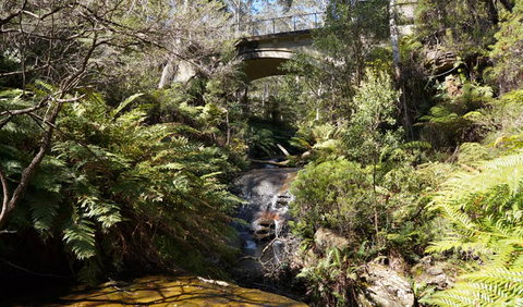 Leura Cascades Fern Bower - Events Australia 3