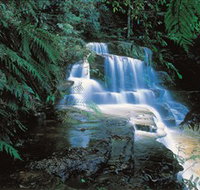 Leura Cascades - Events Australia