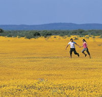 Wildflowers of the Mid West - Events Australia