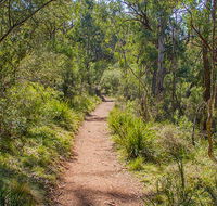 Mares Forest Creek walking track - Accommodation Europe