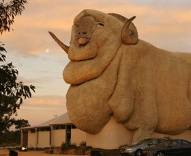 Big Merino - Events Australia 3