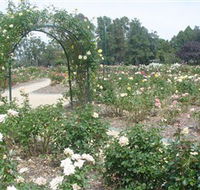Victoria Park Rose Garden - Accommodation Europe