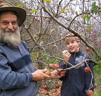 Pine Crest Orchard - Events Australia