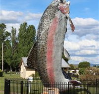 Big Trout - Events Australia
