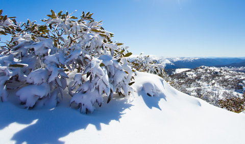 Perisher - Events Australia 3