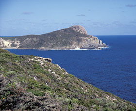 Bald Head Walking Track - Tourism Bookings 0
