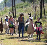 Ottaba Llamas - Tourism Bookings
