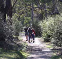 Syd's Rapids and Aboriginal Heritage Trail Avon Valley - Events Australia