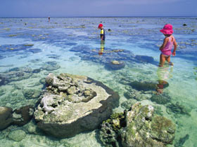 Southern Great Barrier Reef - Tourism Bookings 1
