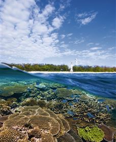 Southern Great Barrier Reef - Tourism Bookings 2