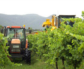 Stomp! Wines - Events Australia 8