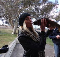 Eucumbene Trout Farm - Events Australia