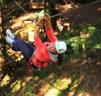 Trees Adventure Grose River Park - Events Australia