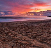 Mon Repos Beach - Events Australia