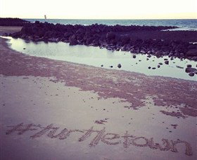 Mon Repos Beach - Events Australia 1