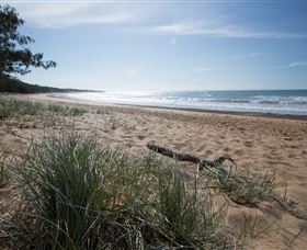 Mon Repos Beach - Events Australia 2