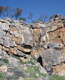 Badgingarra Nature Trail - Events Australia 0