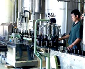 Sun Masamune Sake Brewery - Events Australia 2