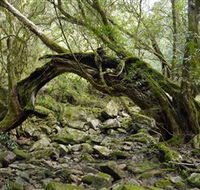 Mitchell River National Park - Events Australia
