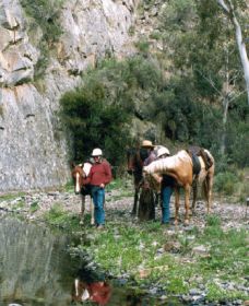 Yarramba Horse Riding - Tourism Bookings 0