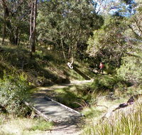 Wollomombi walking track - Tourism Bookings