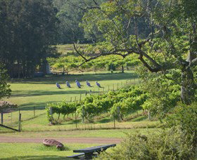 Wollombi Wines - Events Australia 8