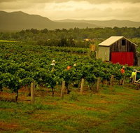 Around Hermitage Wine and Food Trail Hunter Valley - Events Australia