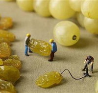 Hunter Valley Wine School - Events Australia